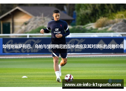 如何挖掘萨利巴、乌帕与楚阿梅尼的互补效应及其对球队的战略价值