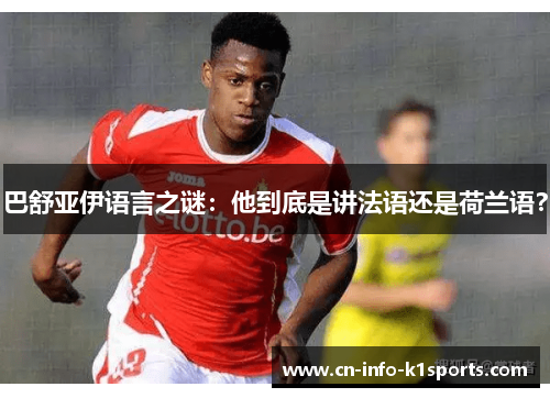 巴舒亚伊语言之谜：他到底是讲法语还是荷兰语？