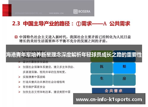 海港青年军培养新星理念深度解析年轻球员成长之路的重要性